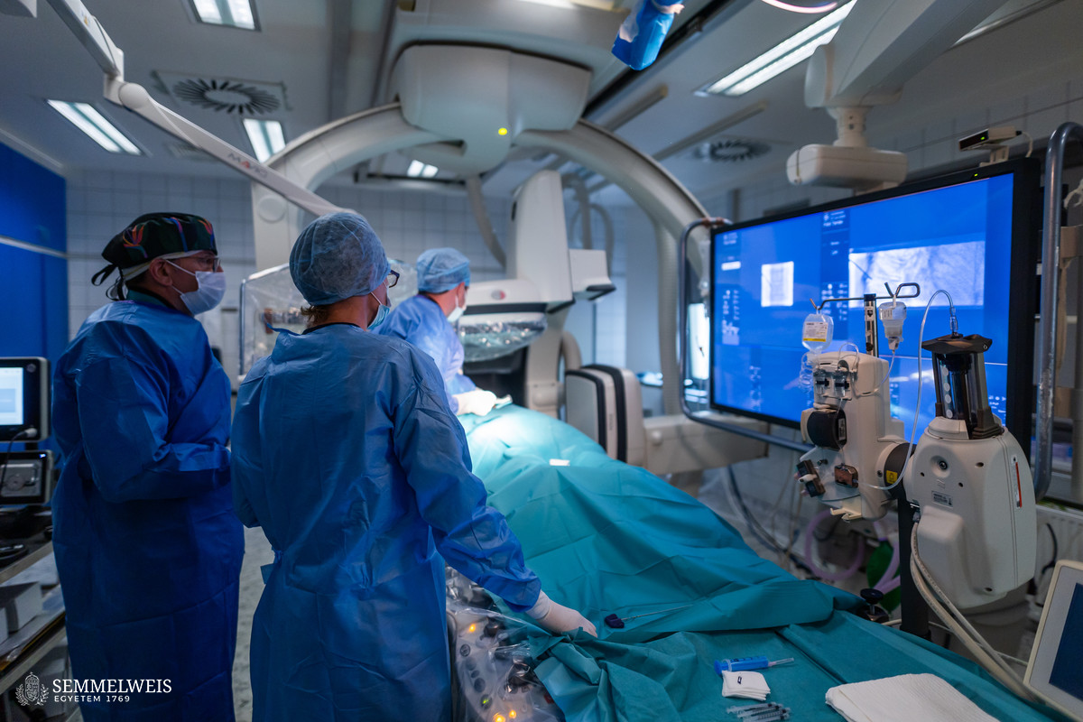 Semmelweis Egyetem 